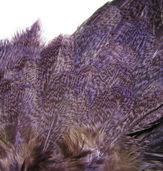 ������� ���� Hen feathers  ����� - ���������� �����
